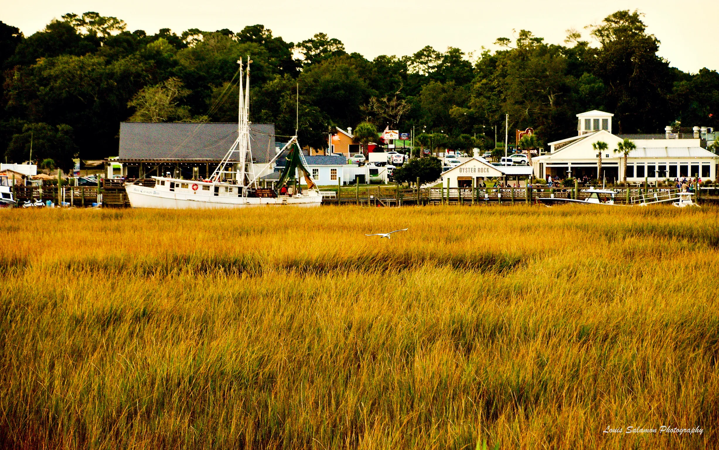 Boat Life 51