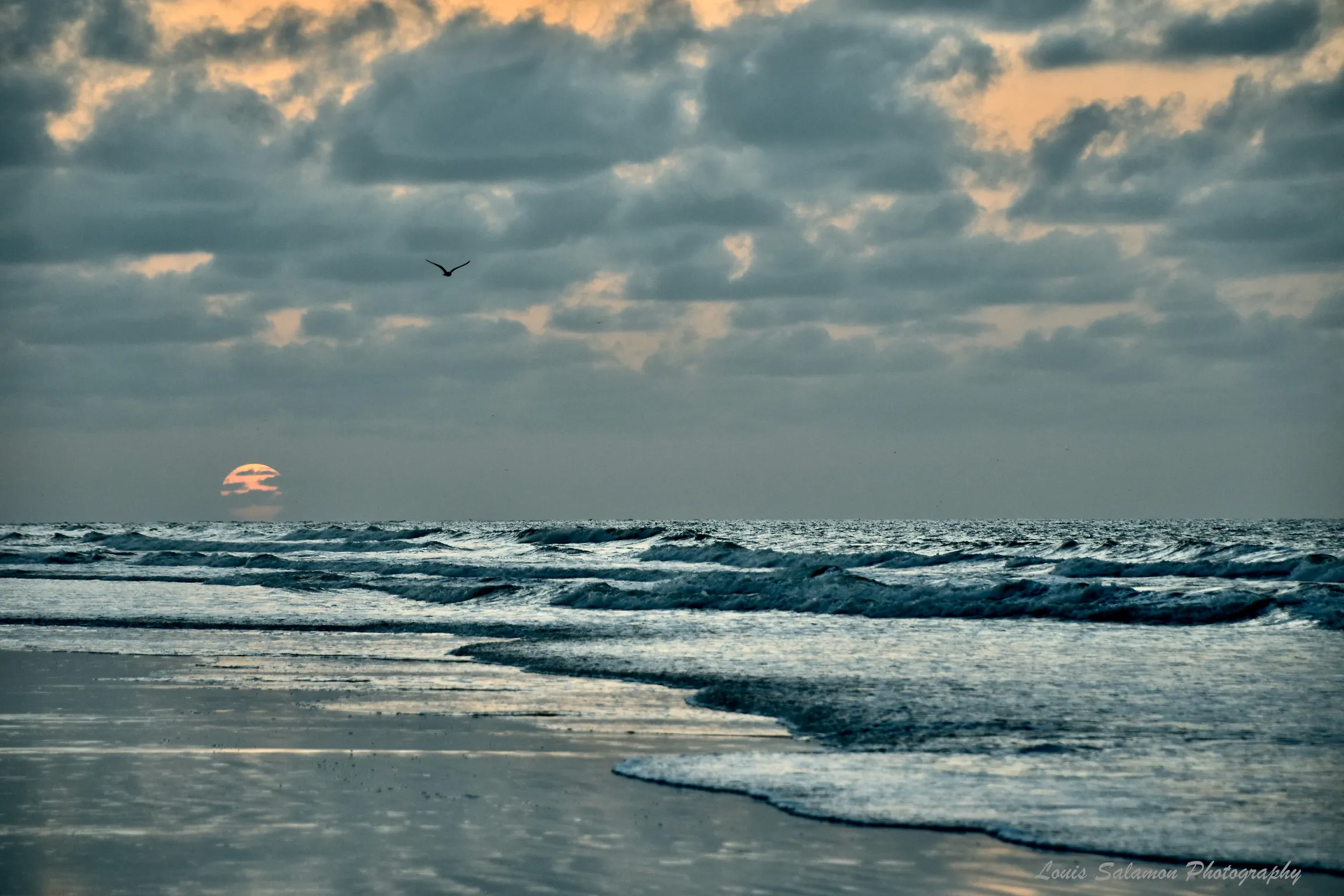 Carolina Skies 48
