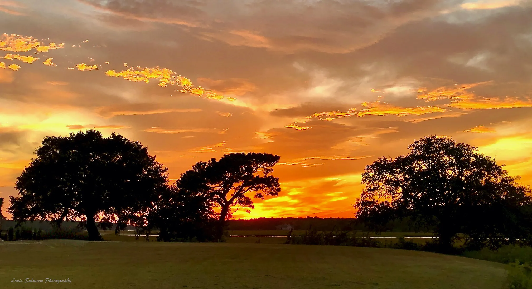 Carolina Skies 63