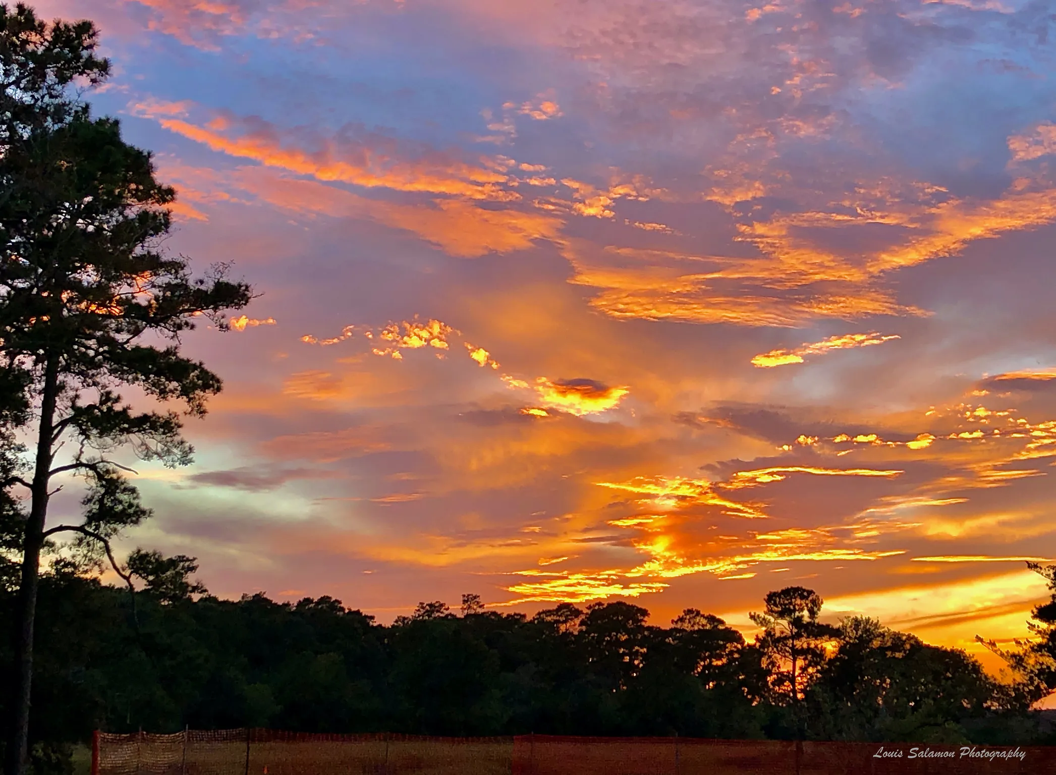 Carolina Skies 64