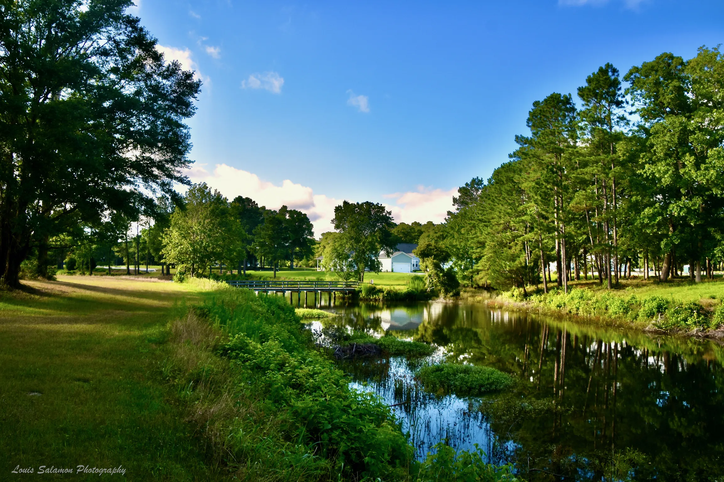 Devaun Park 62