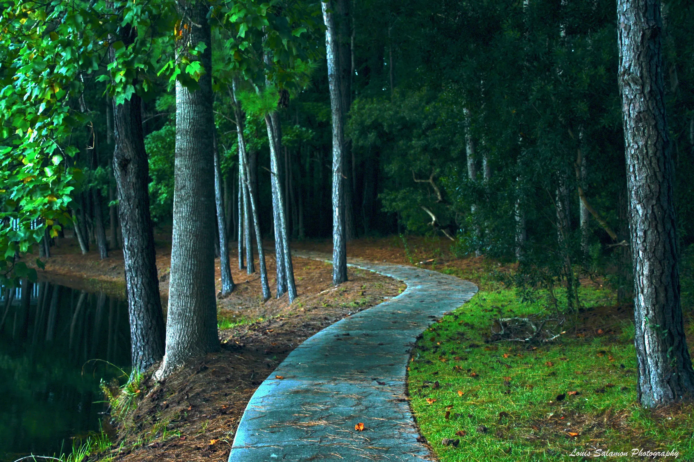 Devaun Park 69