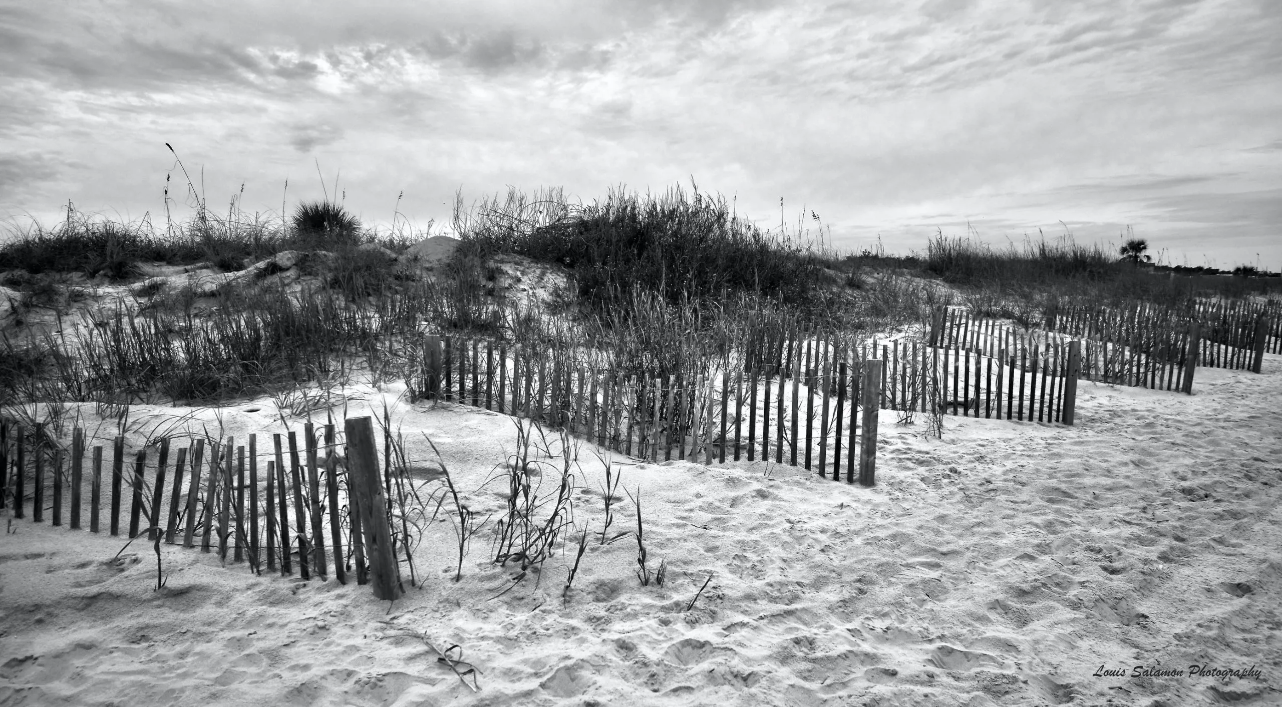 Nuances in Gray 1