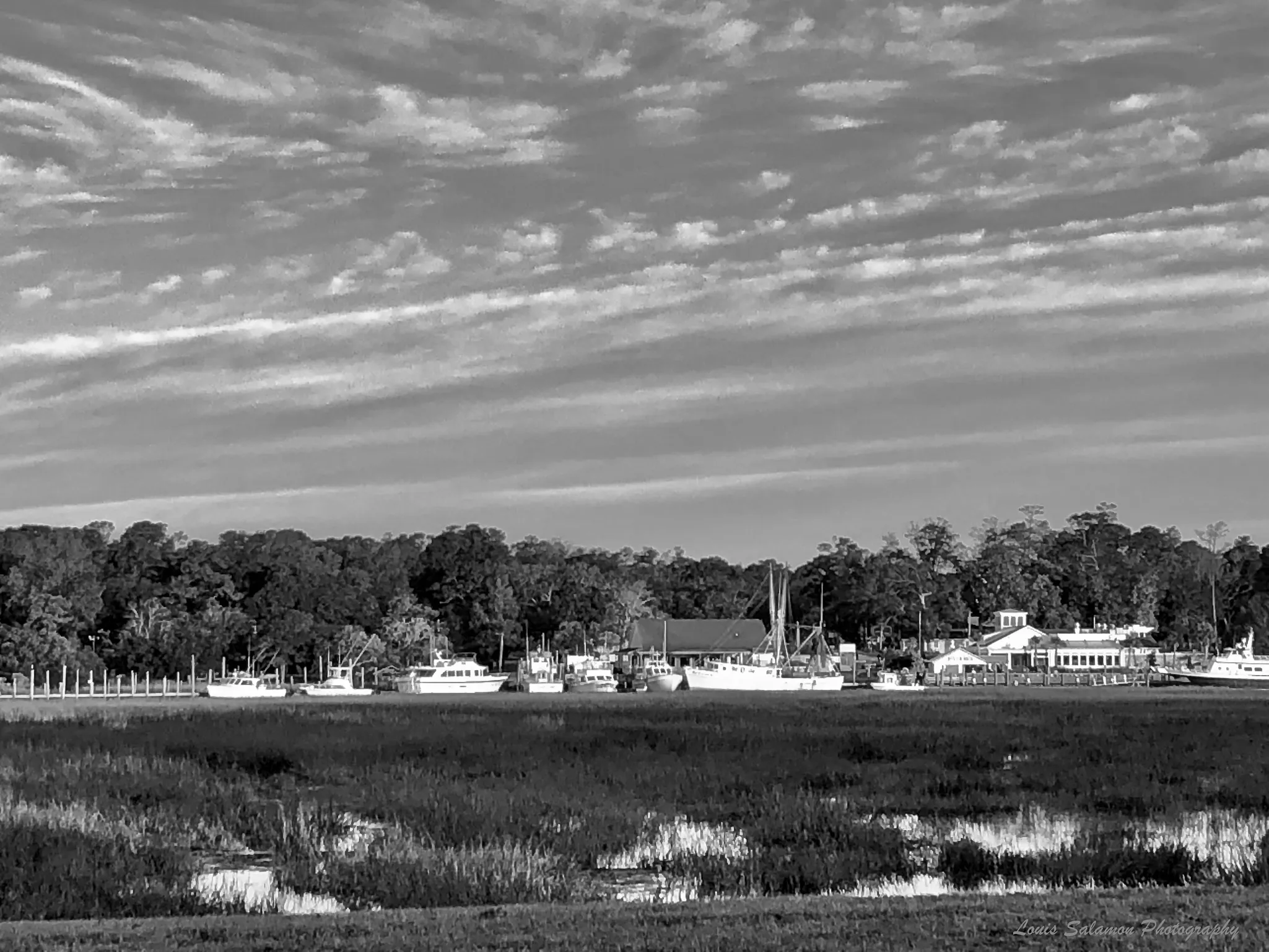 Nuances in Gray 11