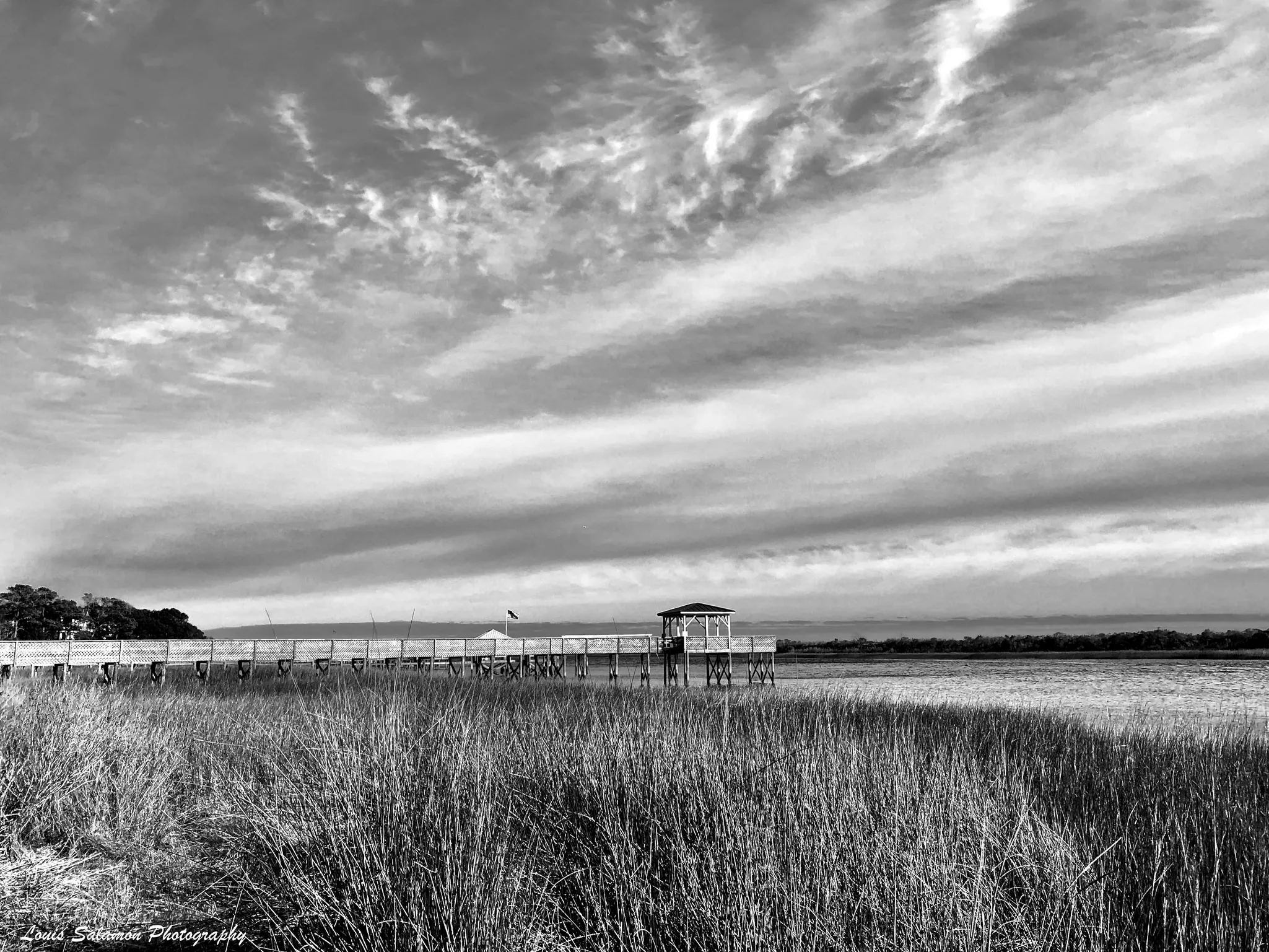 Nuances in Gray 28