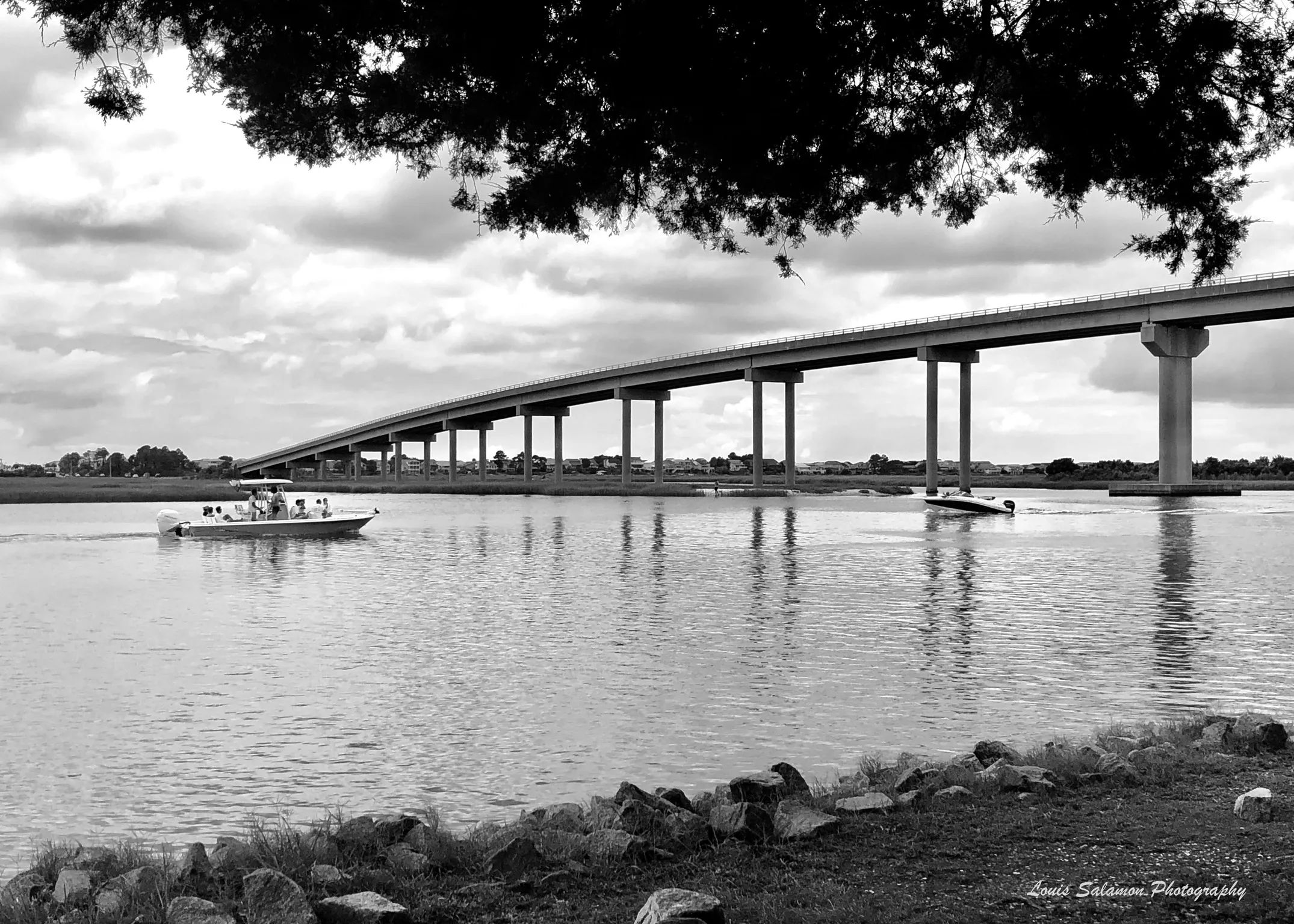 Nuances in Gray 31