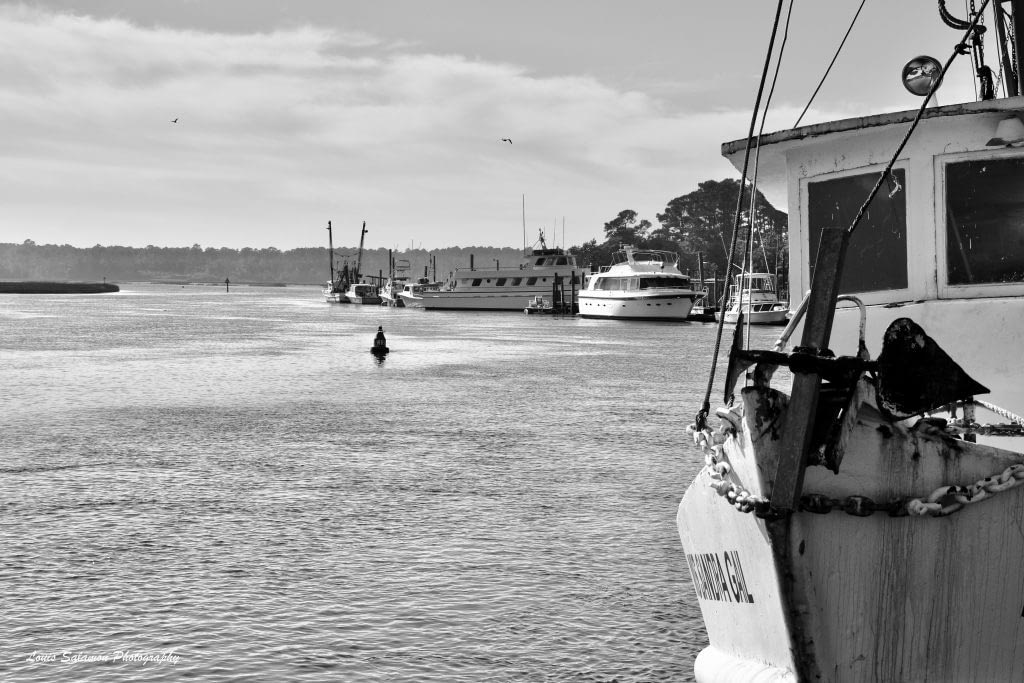 Multiple boats and flying birds enjoying a view at Calabash River