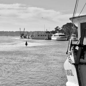 Multiple boats and flying birds enjoying a view at Calabash River