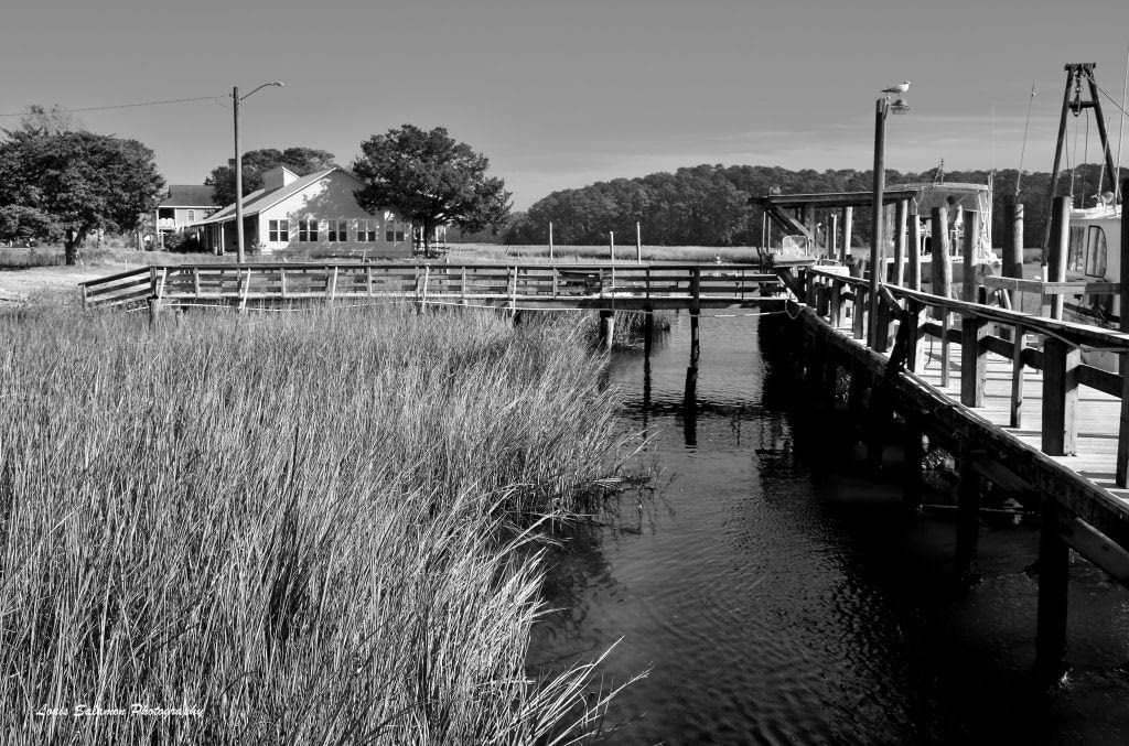 Lush Autumn grasses reaching across vivid blue water at the docks alongside the Calabash River in North Carolina