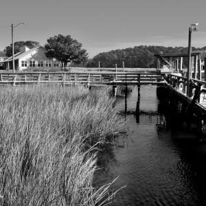 Lush Autumn grasses reaching across vivid blue water at the docks alongside the Calabash River in North Carolina
