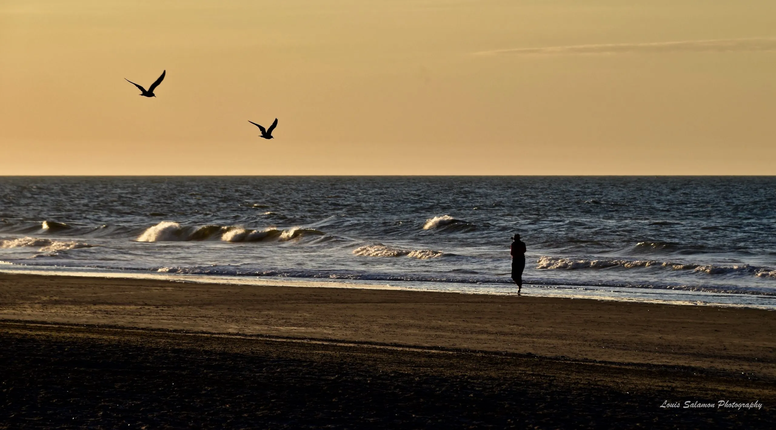 Sand, Surf, Sea 1