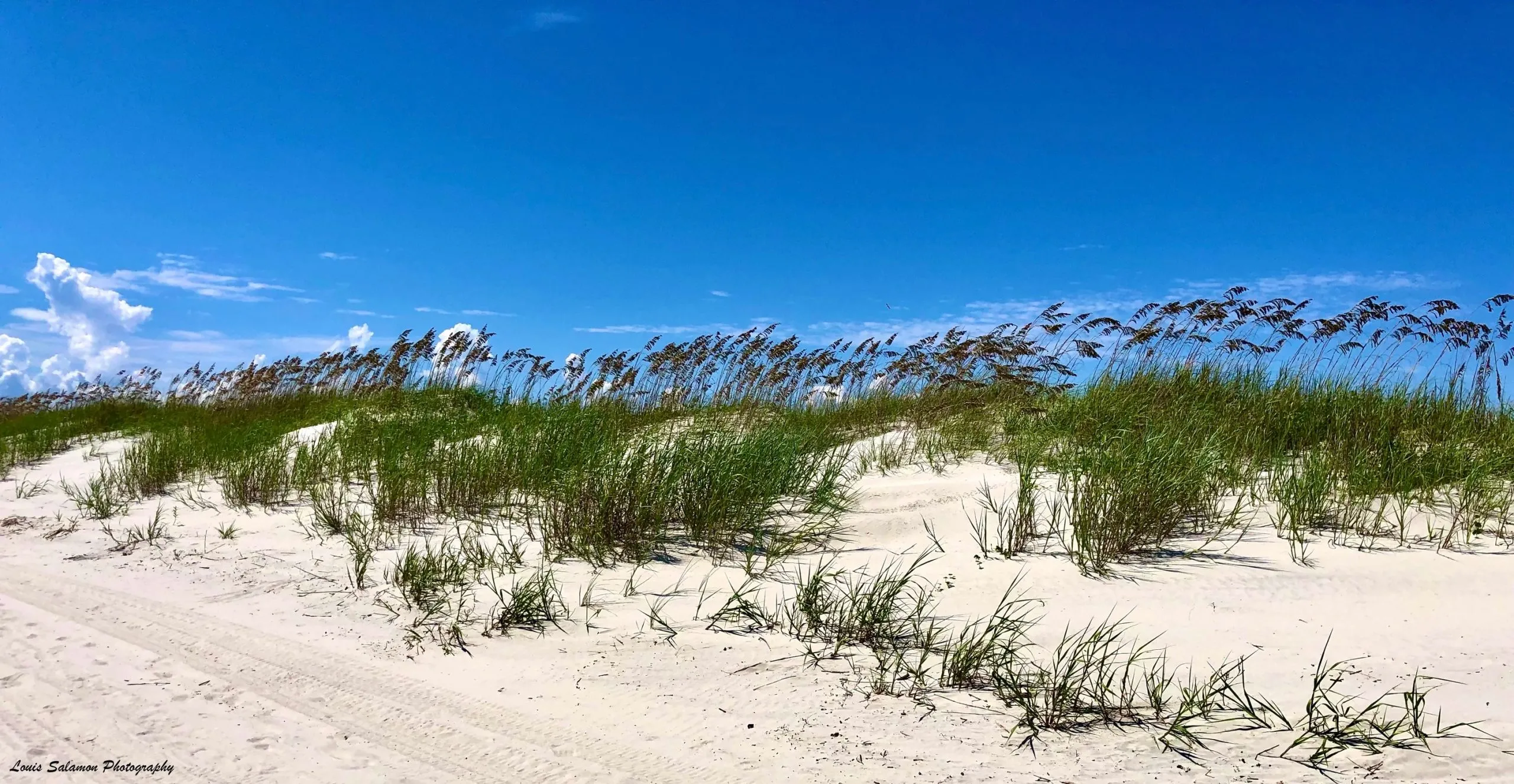 Sand, Surf, Sea 9