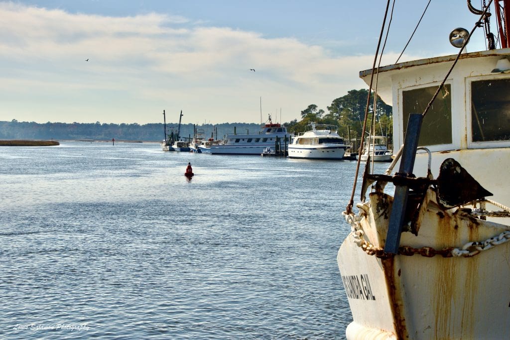Multiple boats and flying birds enjoying a view at Calabash River