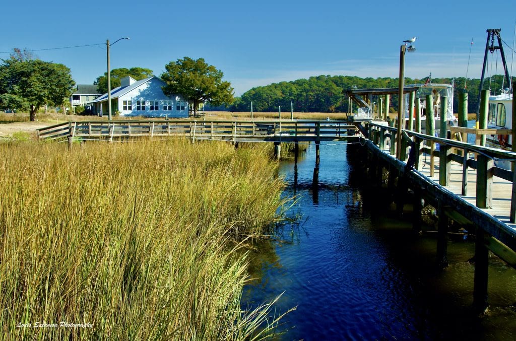 Lush Autumn grasses reaching across vivid blue water at the docks alongside the Calabash River in North Carolina